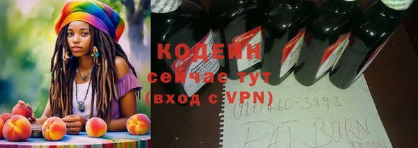 мдпв Богородск