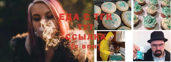 мдпв Богородск