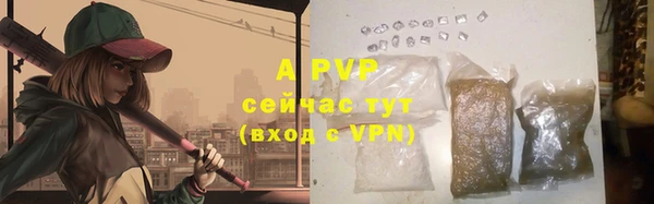 трава Богданович