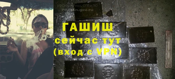 мдпв Богородск