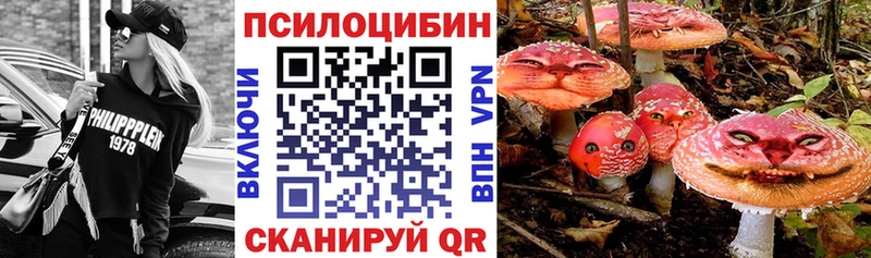 Псилоцибиновые грибы Magic Shrooms  закладки  Ахтырский 